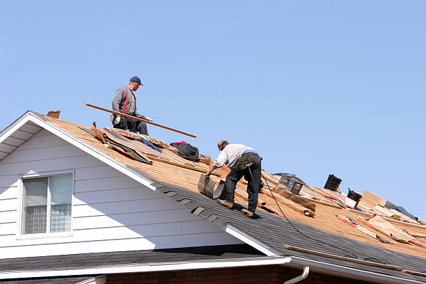 Best Cold Roofs  in Rockledge, PA